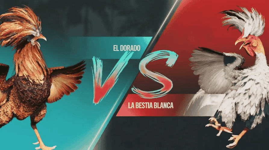 voz777 Plataforma Esports Online